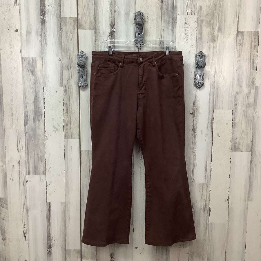 Judy Blue Size 16 W Curvy Jeans