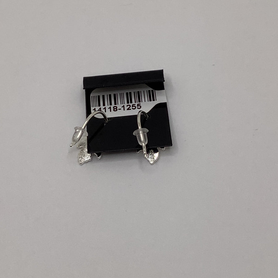 Unknown Earrings