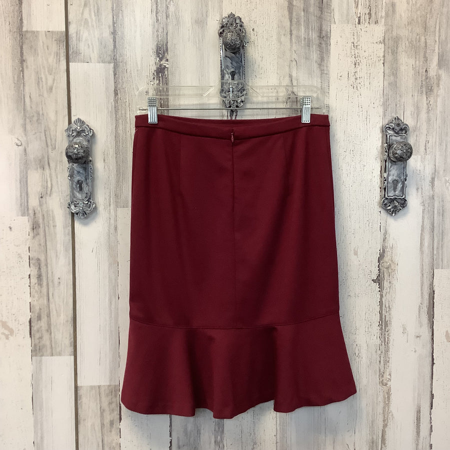 Limited Size XS Skirt