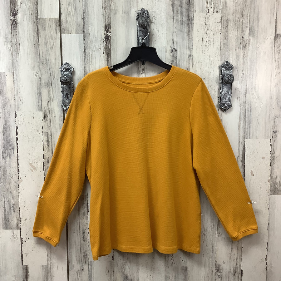 d & co Size XL Curvy Shirts & Blouses