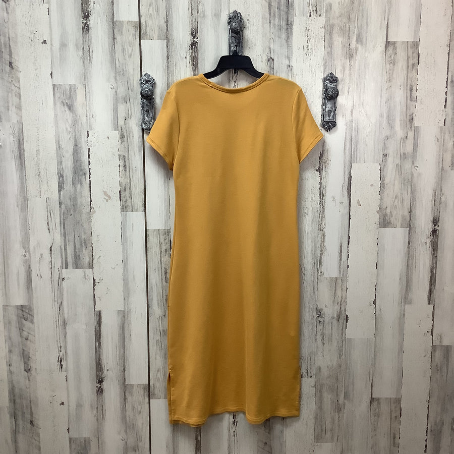 Calvin Klein Size Lg Dress