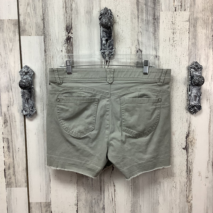 Wit & Wisdom Size 12 Shorts