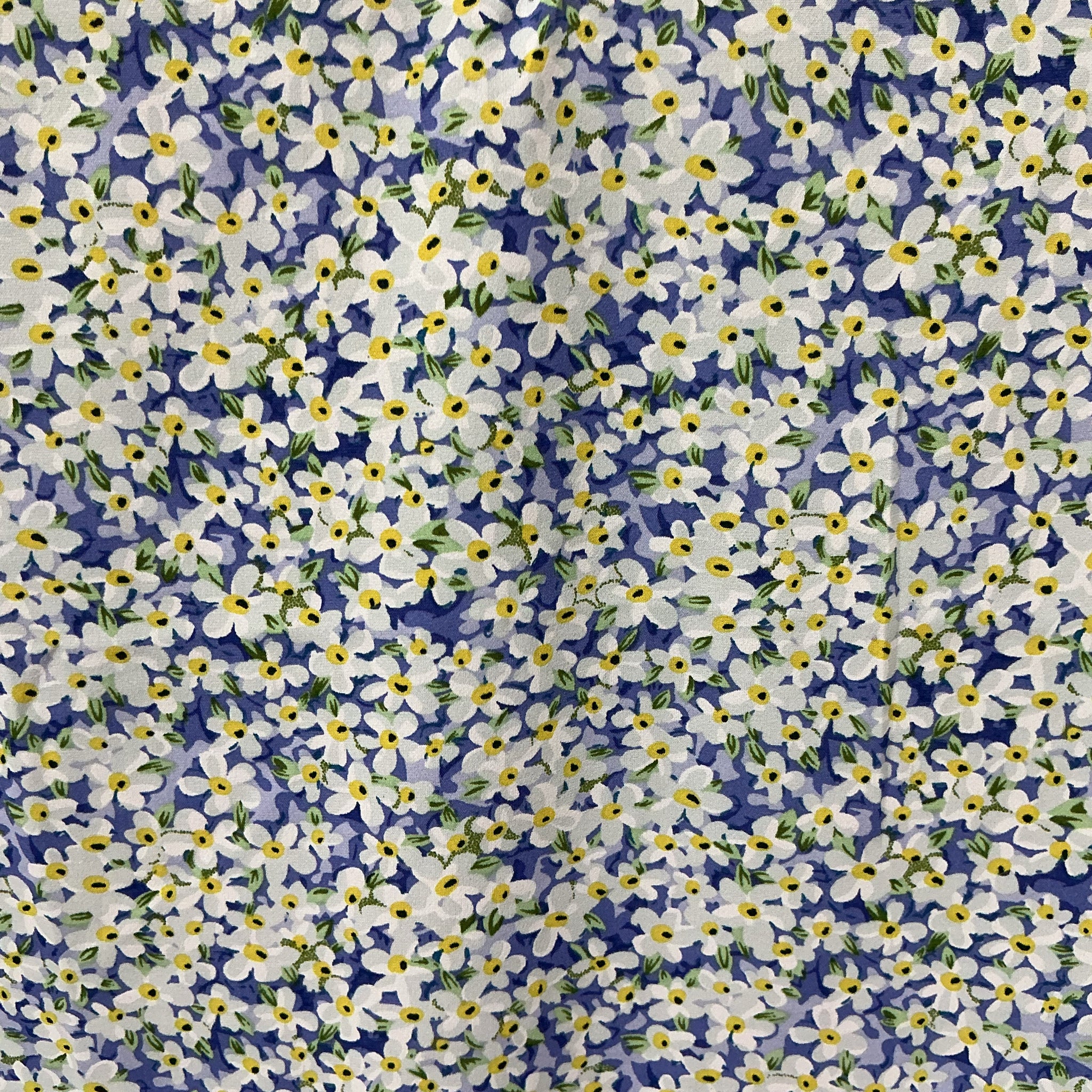 Zoom
