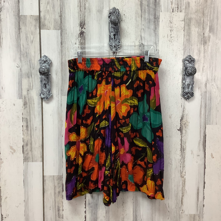 Jeetish Size 16 Curvy Shorts