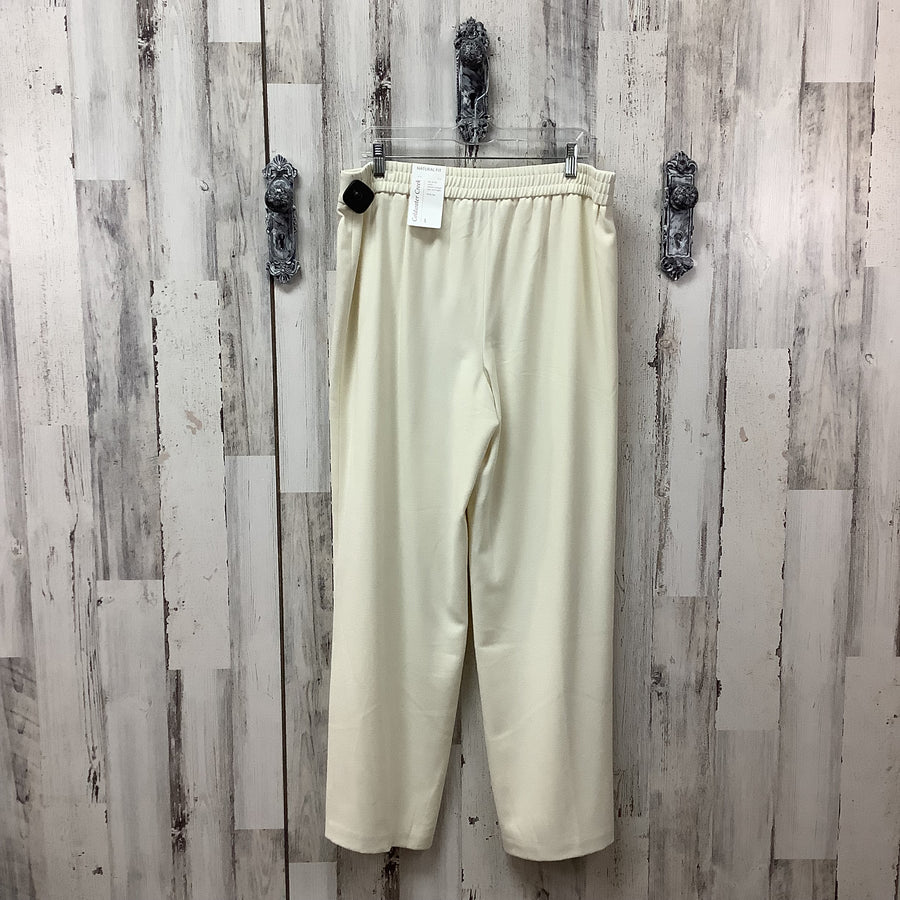Coldwater Creek Size 14 Slacks & Pants