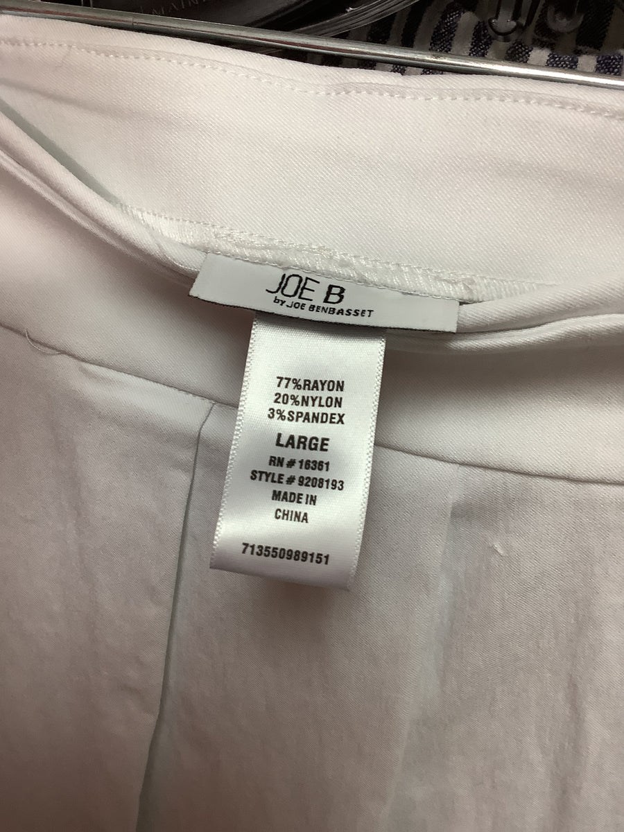 Joe B Size Large Skirt