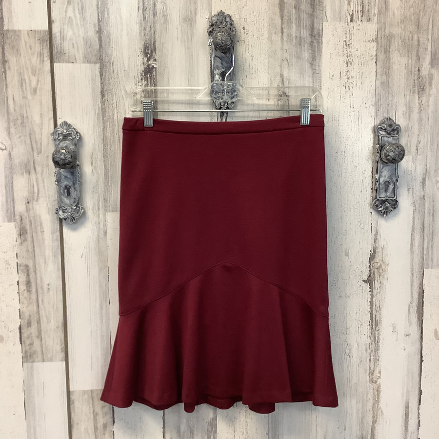 Limited Size XS Skirt