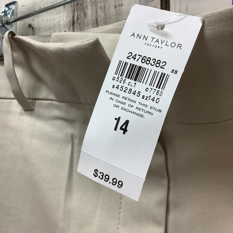 Ann Taylor Size 14 Shorts