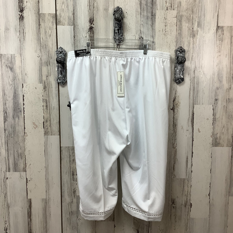 Alfred dunner Size 22 Curvy Capris