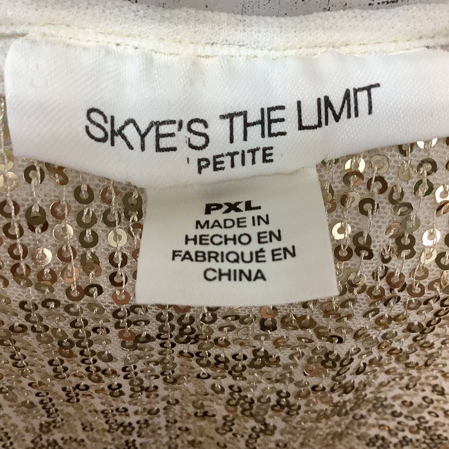 Skye's The Limit Size XL P Curvy Skirt