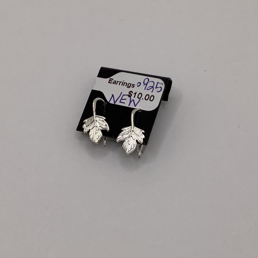 Unknown Earrings